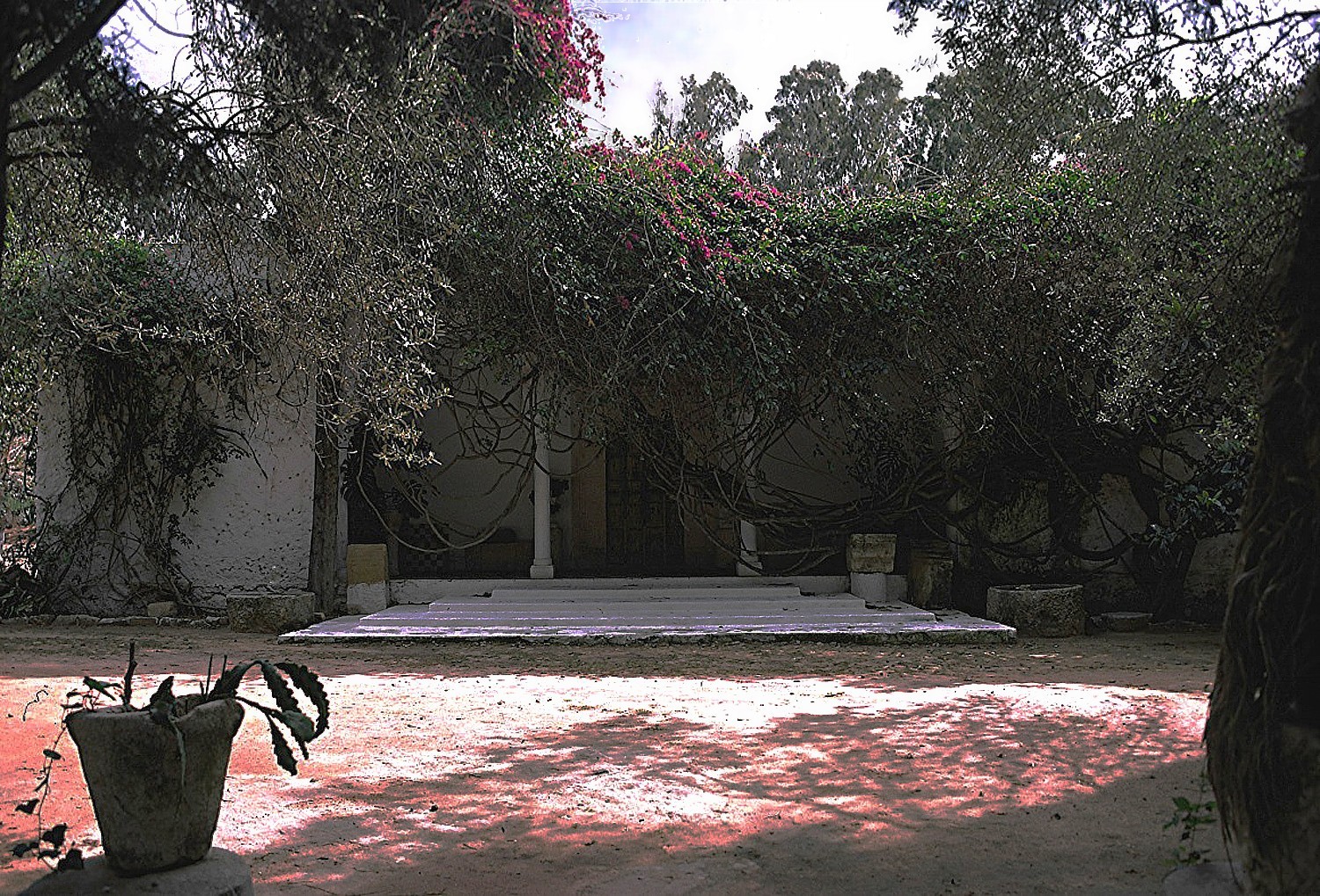 LE JARDIN SECRET D'HAMMAMET Le porche de la villa