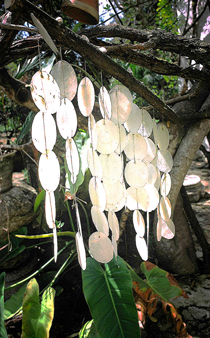 LE JARDIN SECRET D'HAMMAMET Les messagers du vent