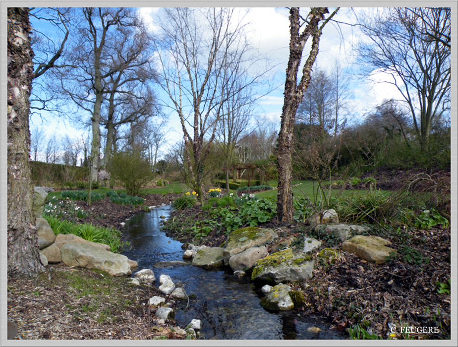 Le jardin s'éveille (2)