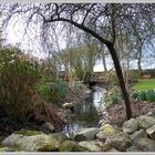 Le jardin s'éveille avec le printemps