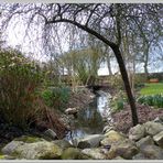 Le jardin s'éveille avec le printemps