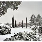 Le jardin sous la neige