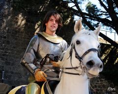 Le jeune chevalier