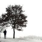 le jogger... oder ...nur die harten kommen in den garten