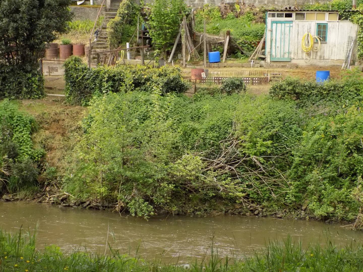 Le joli Vieux Jardin du pépé...