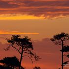 Le jour se lève à Hossegor