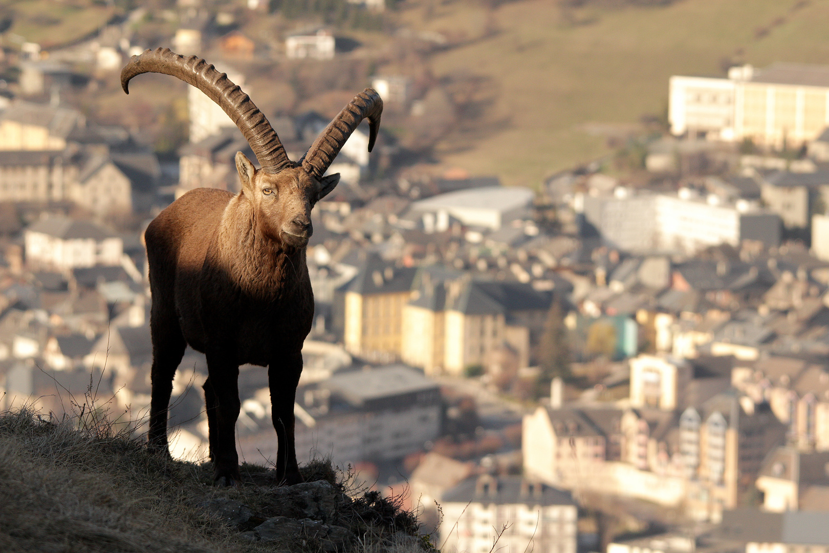 le jour se léve ... saint jean de maurienne