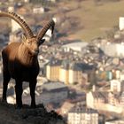 le jour se léve ... saint jean de maurienne