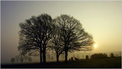 Le jour se lève sur les menhirs