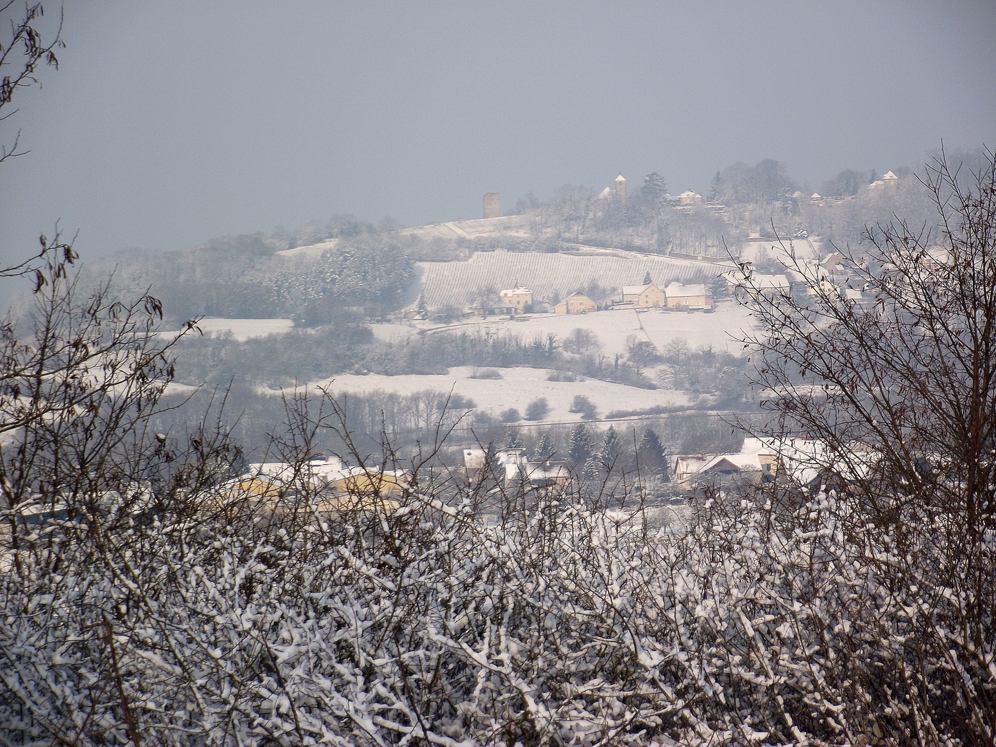 LE JURA BLANC