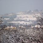 LE JURA BLANC