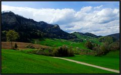 LE JURA - BLICK ZURÜCK...