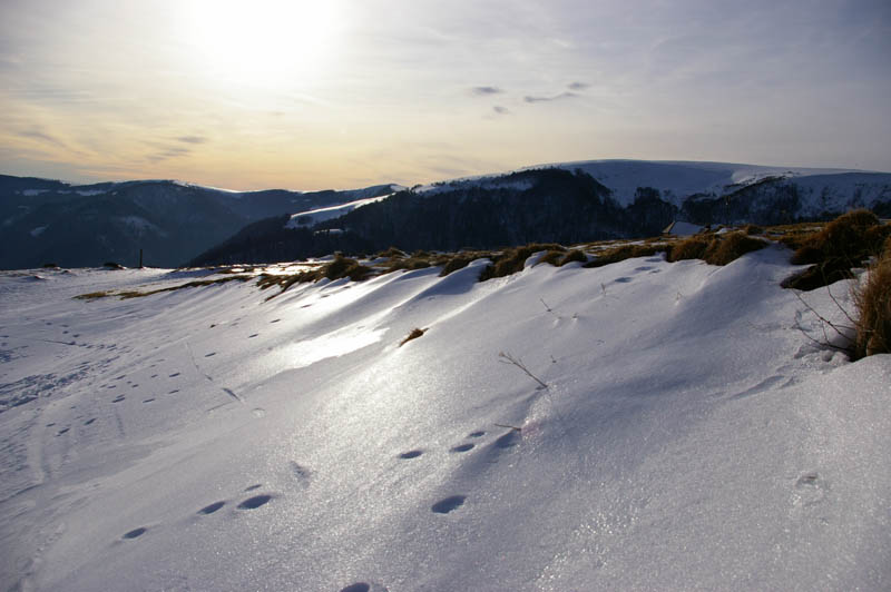 Le Kastelberg en hiver