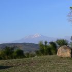 le kilimanjaro