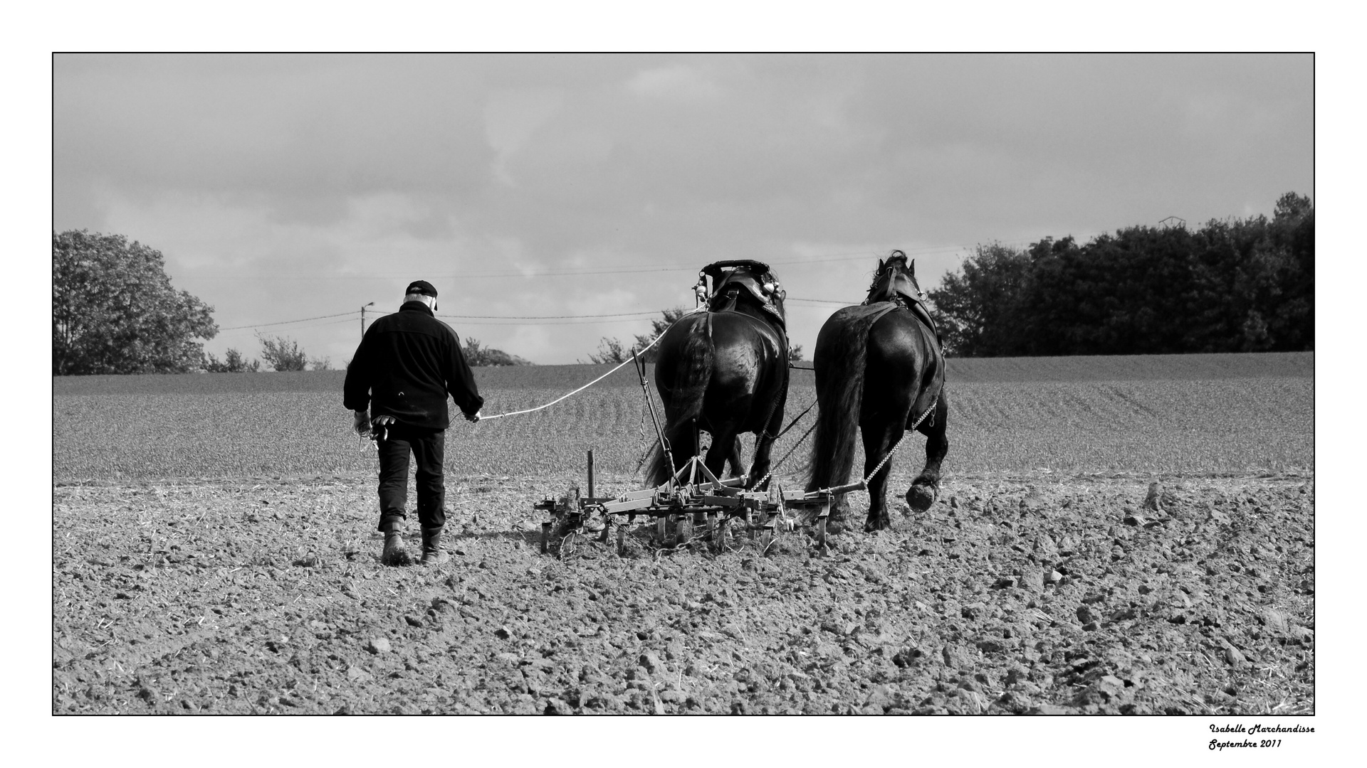 Le labour à l'ancienne ...