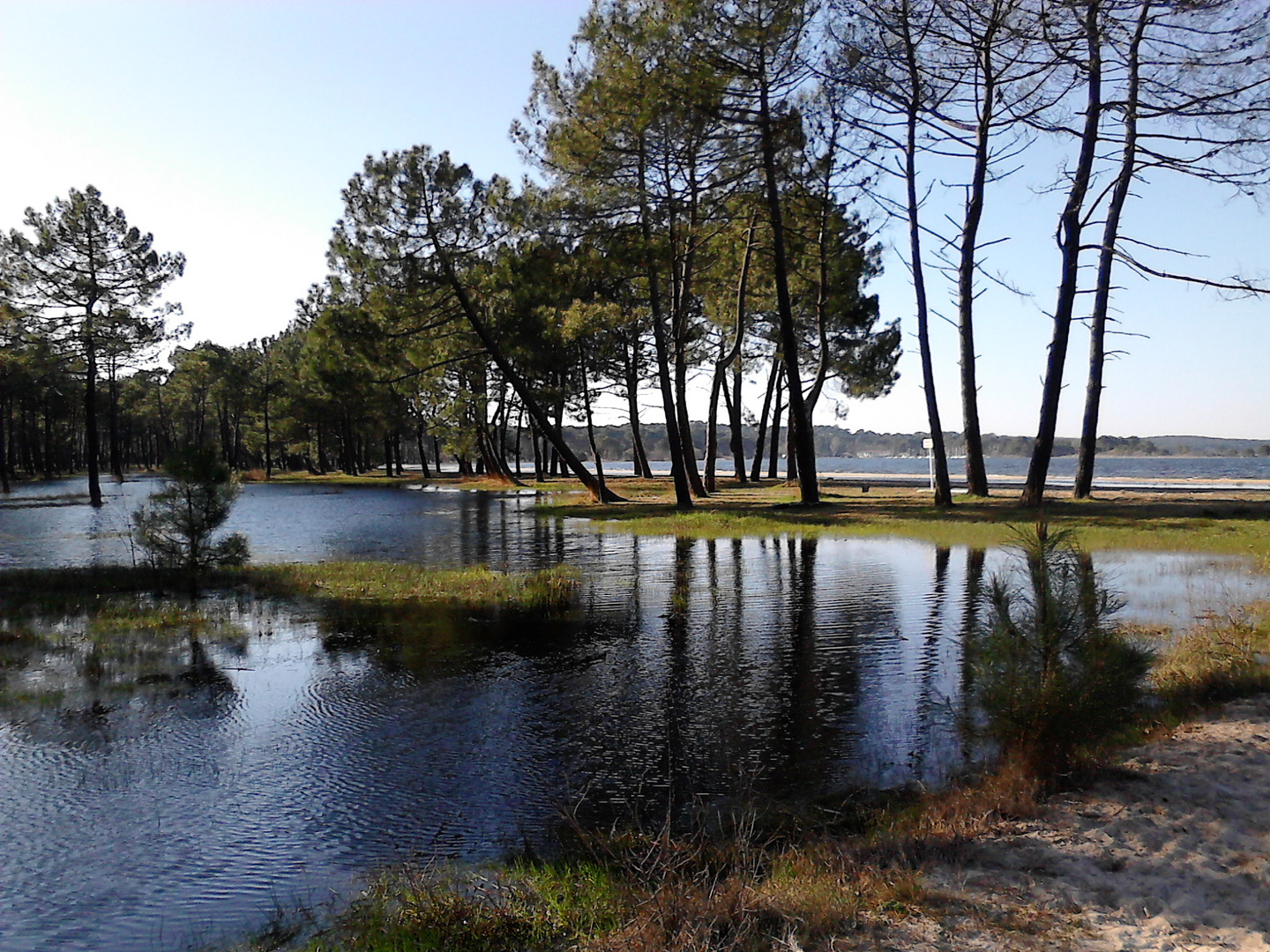 Le lac à Biscarrosse