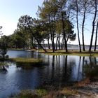 Le lac à Biscarrosse