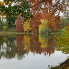 le lac a revêtu sa parure d'automne