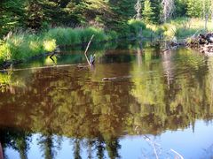 Le lac aux castors