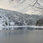 Le lac blanc en noir