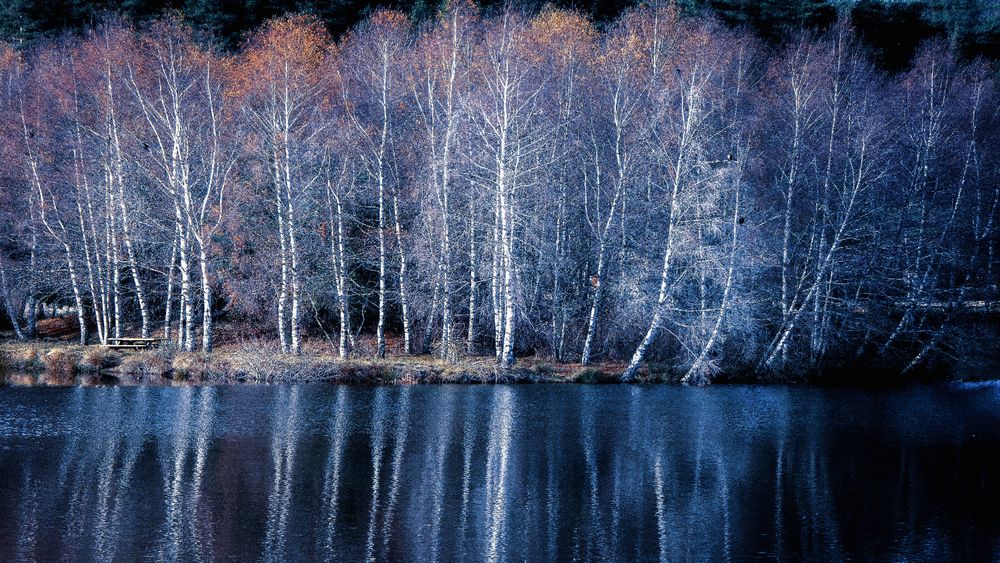 Le Lac bleu