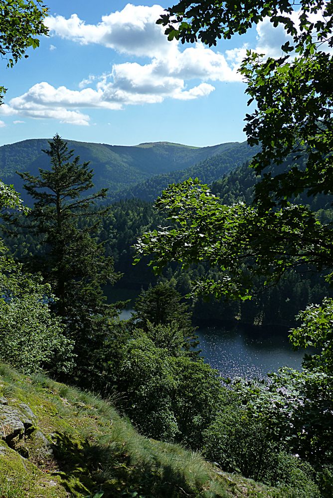 Le lac d'Altenweiher
