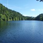 Le lac d'Altenweiher