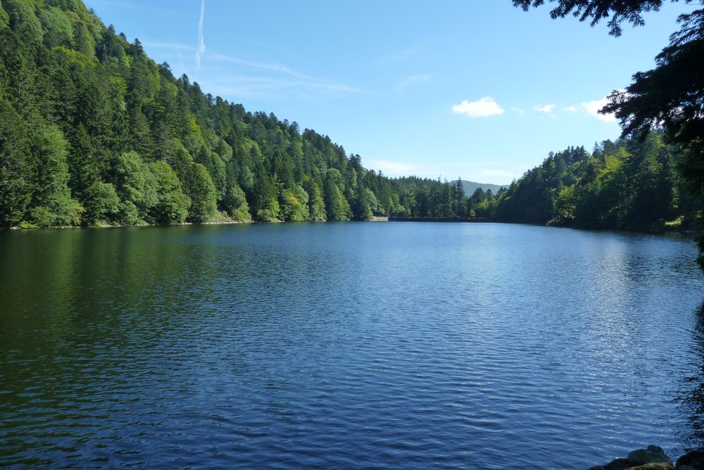 Le lac d'Altenweiher