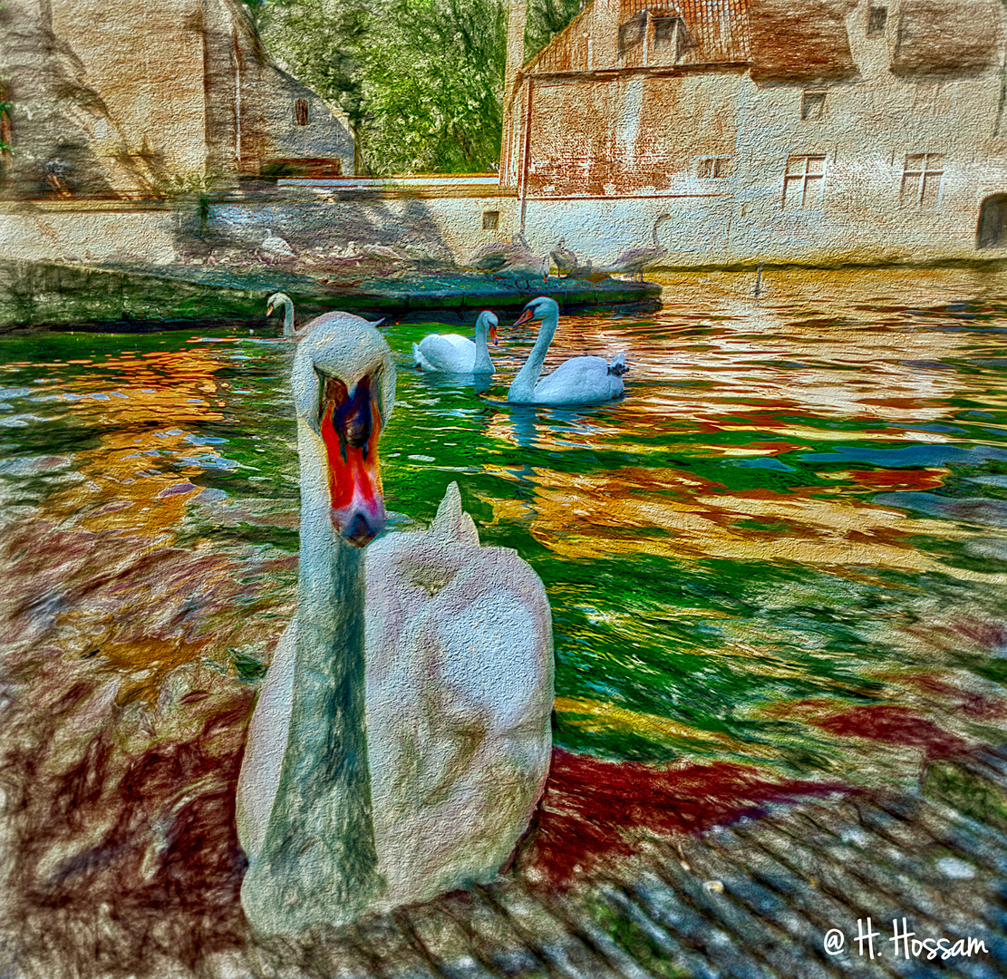 Le lac d'amour, Bruges, Belgium 