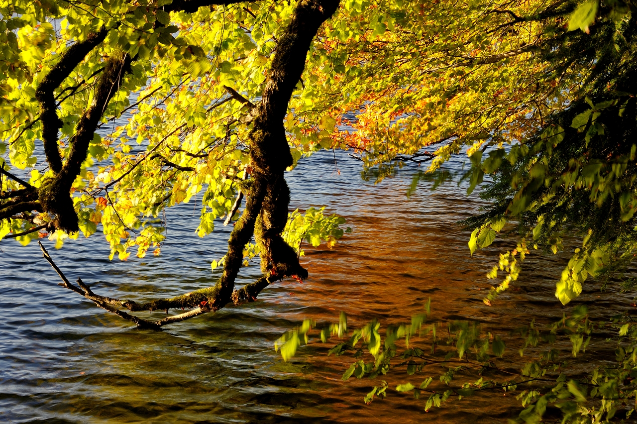 Le lac de Bonlieu le 19 octobre 2015