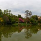 Le lac de Borély