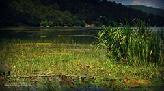 Le lac de Carcès