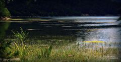 Le lac de Carcès