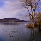 Le lac de Charavines ou Paladru ...