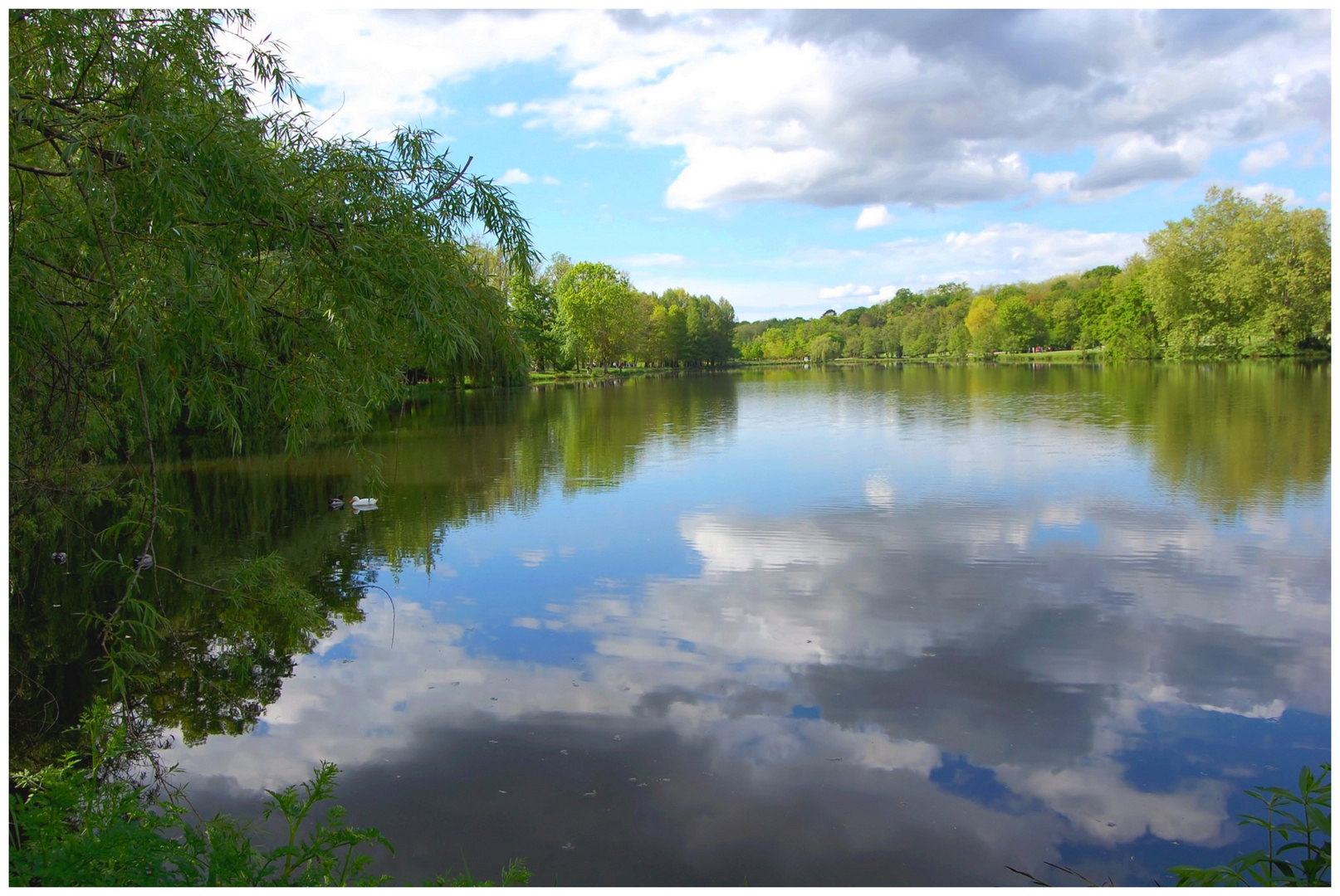 Le lac de Christus (landes)