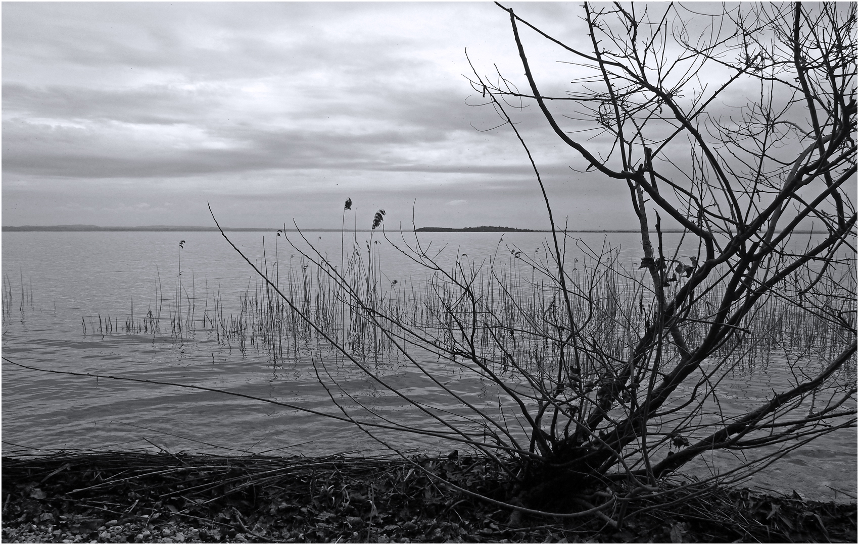 Le Lac de Garde à Manerba