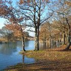 Le lac de Grand Lieu