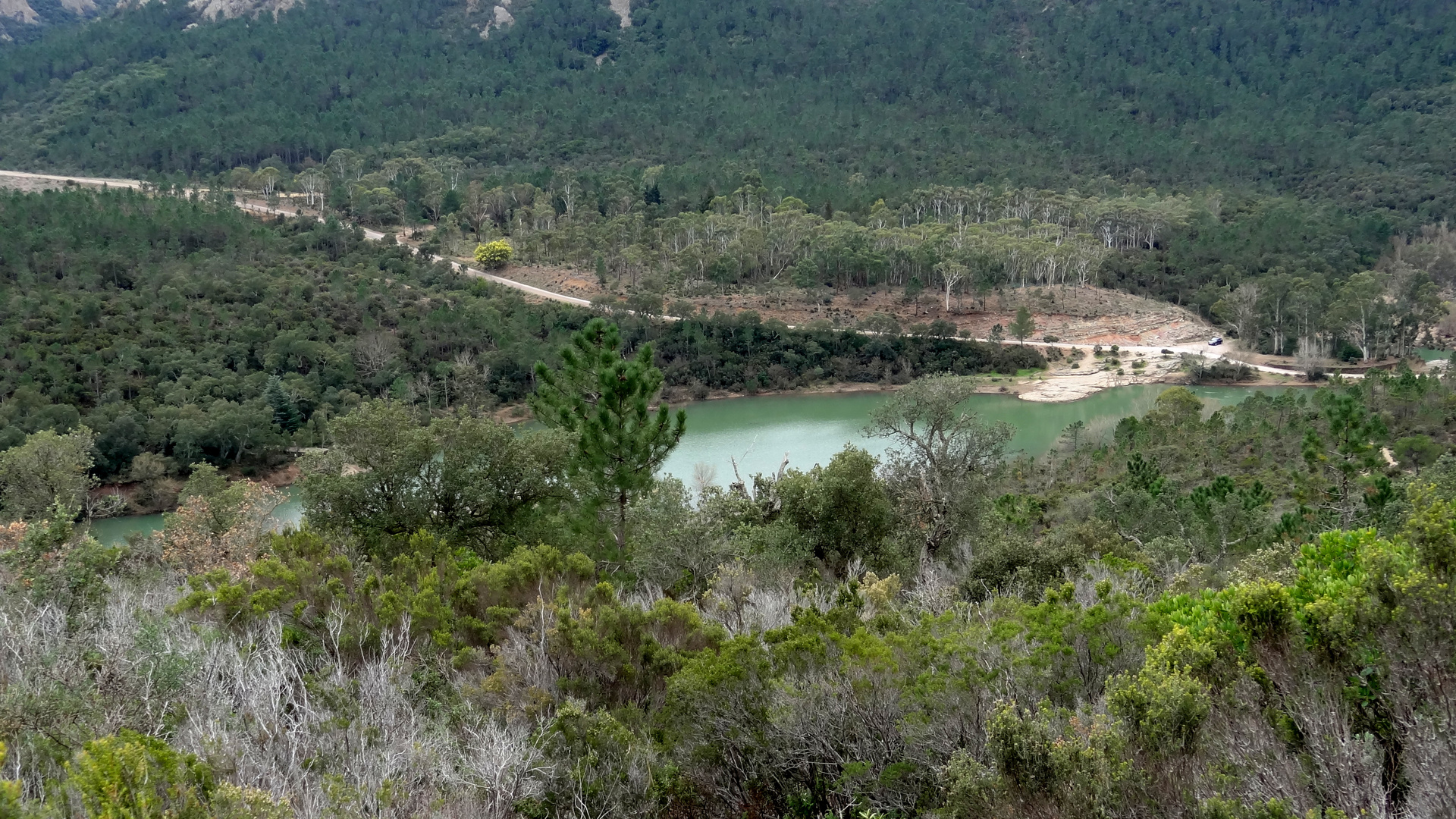 Le lac de Grenouillet dans l'Estérel