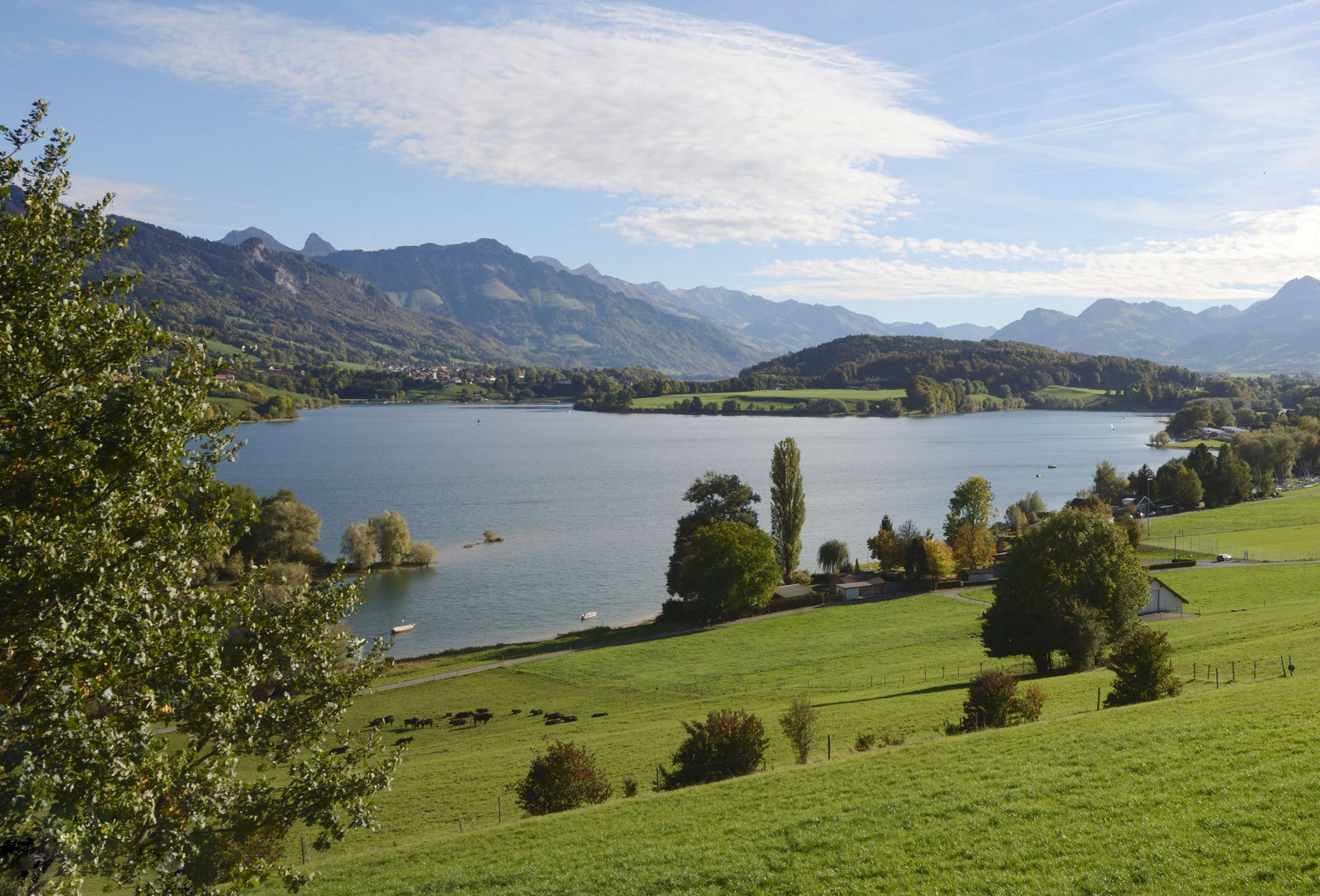 Le lac de Gruyère