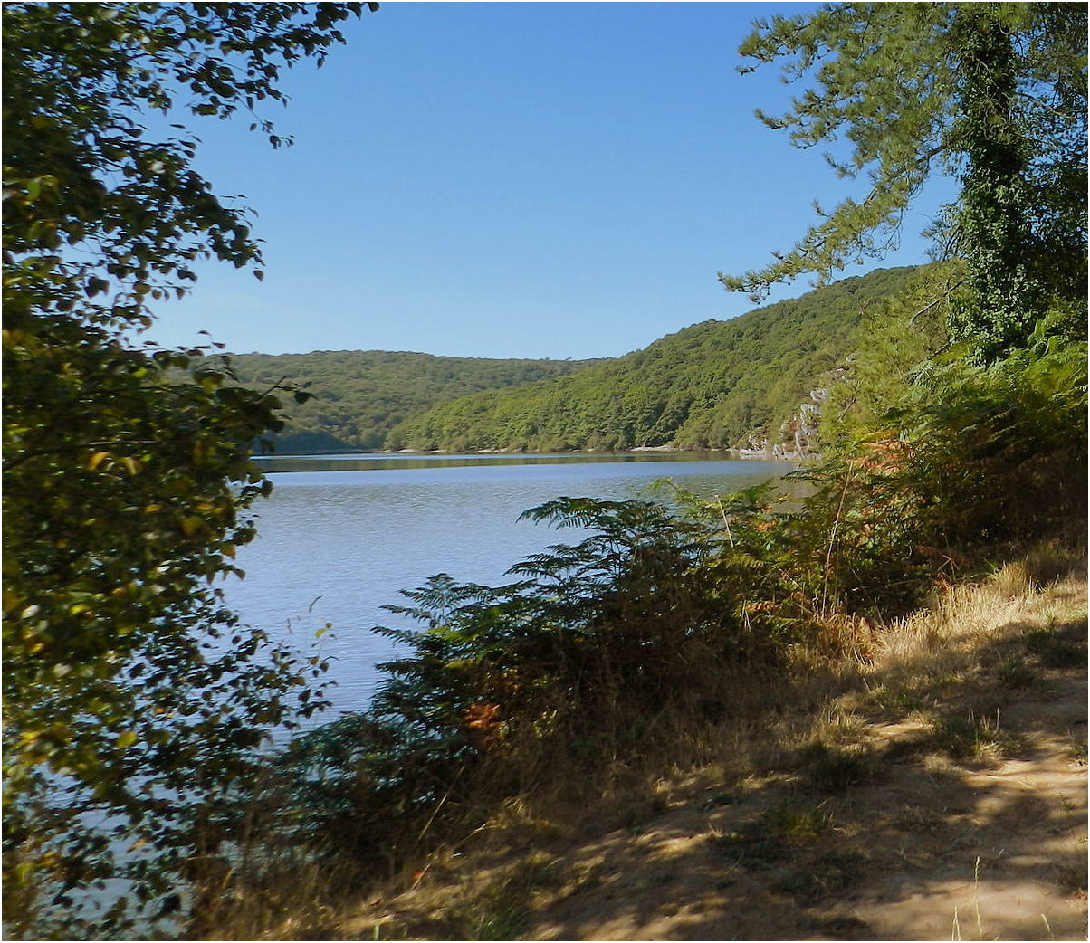 le lac de guerlédan