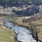 Le Lac de Guerlédan asséché 13