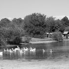 Le lac de la madeleine La teste de buch