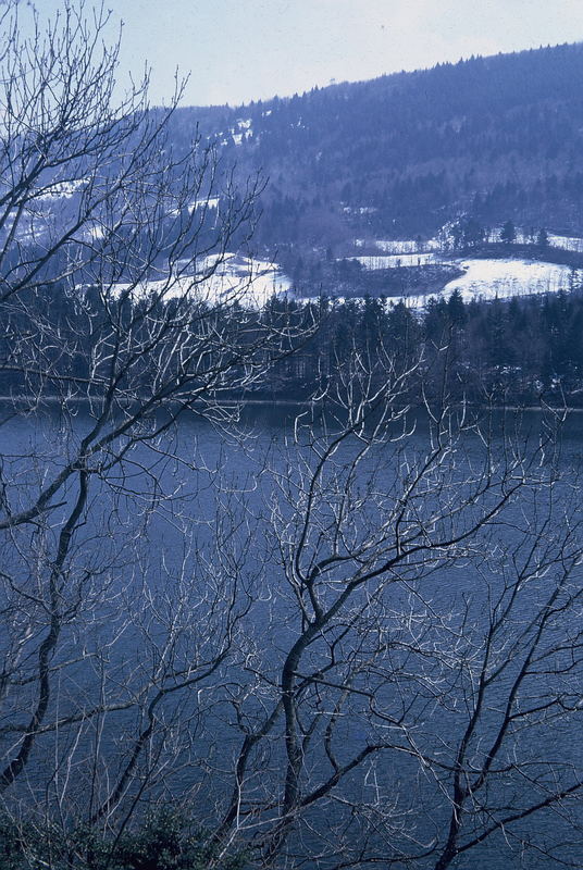 Le lac de Laffrey (1)