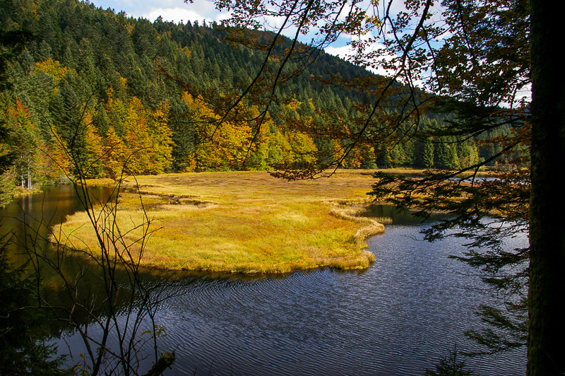 Le lac de Lispach