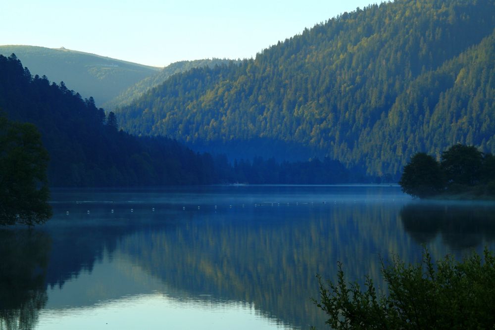 le lac de Longemer se réveille'