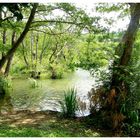 LE LAC DE MAURESCO 