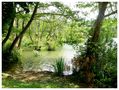 Le Lac de Maurescot à Biarritz de Josiane64 