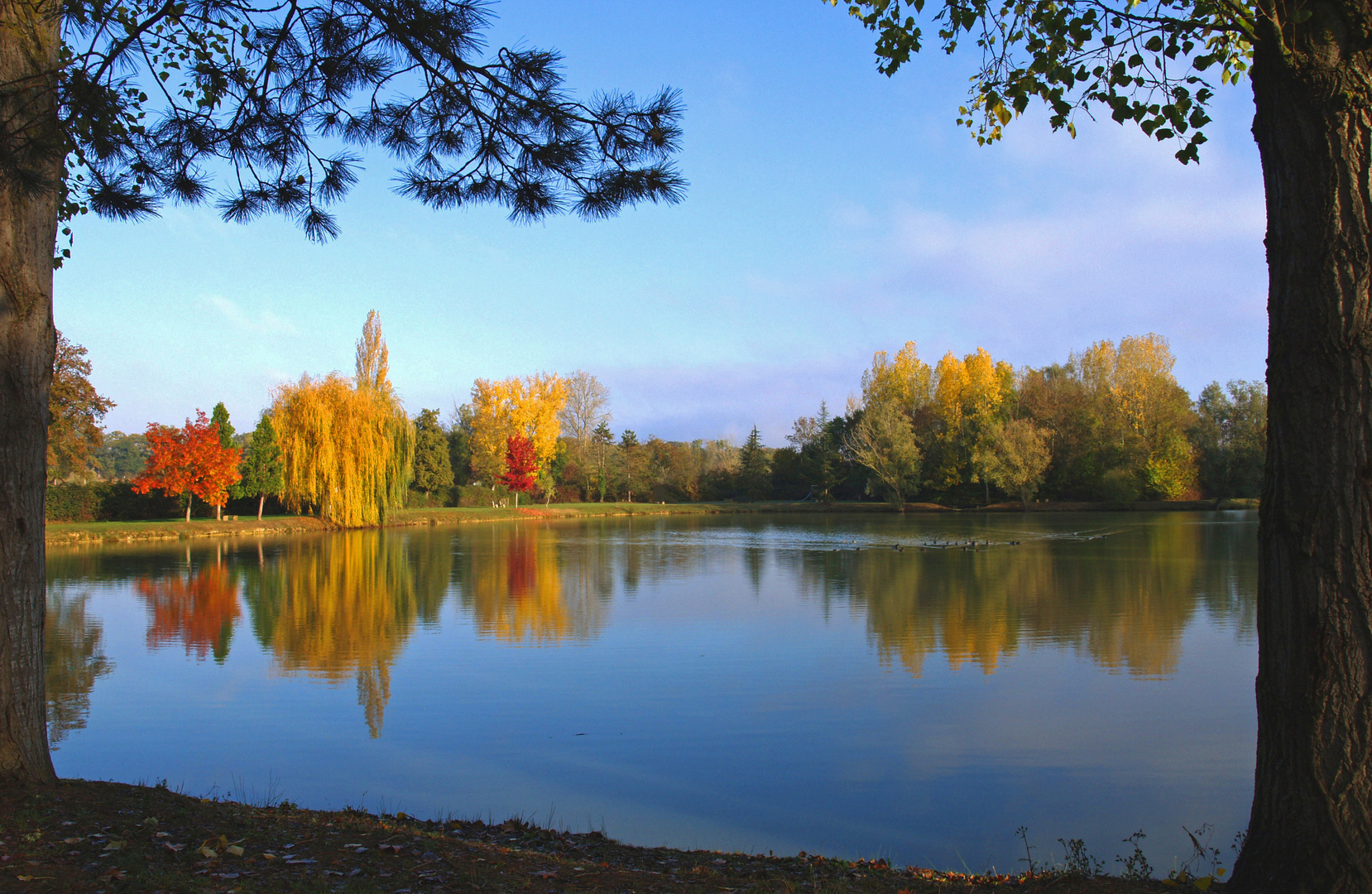 Le lac de Mauvezin à l’automne - Der See von Mauvezin im Herbst