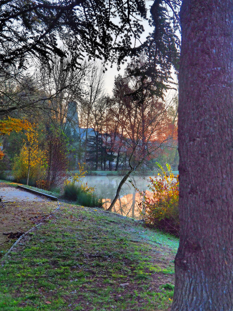 Le lac de Mauvezin début décembre