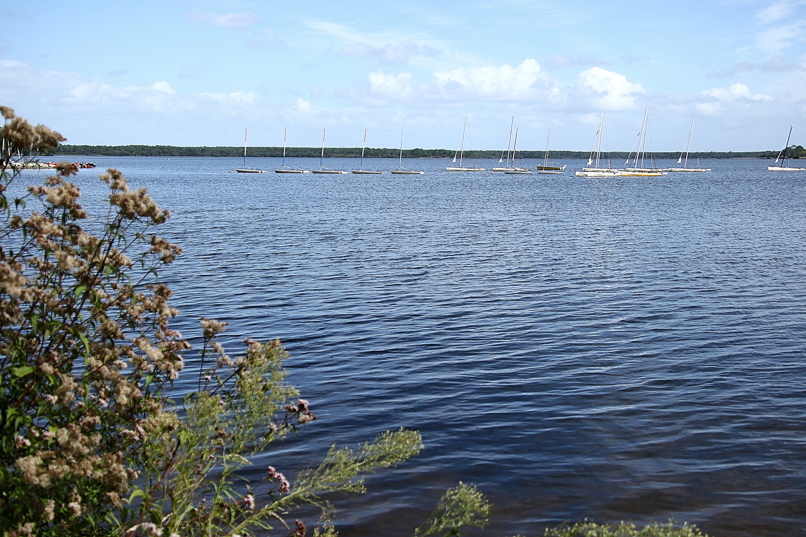 Le lac de Mimizan!